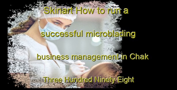 Skinart How to run a successful microblading business management in Chak Three Hundred Ninety Eight Thal Development Authority area | MicrobladingTraining | MicrobladingClasses | SkinartTraining-Pakistan